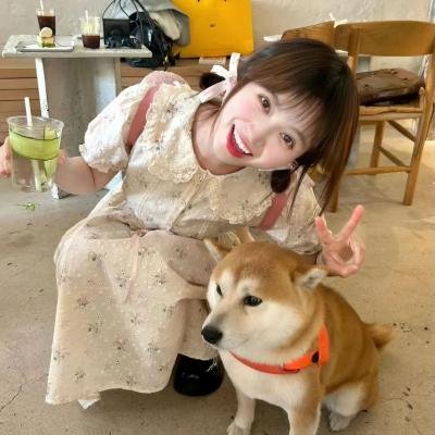 大盗明星梦